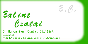 balint csatai business card